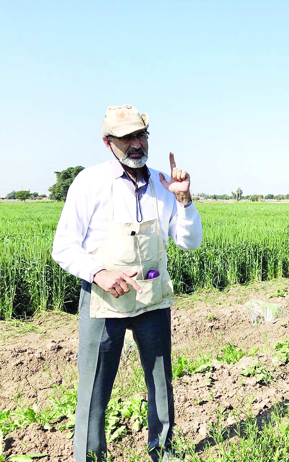 خوزستان,اخبار اقتصادی,خبرهای اقتصادی,کشت و دام و صنعت