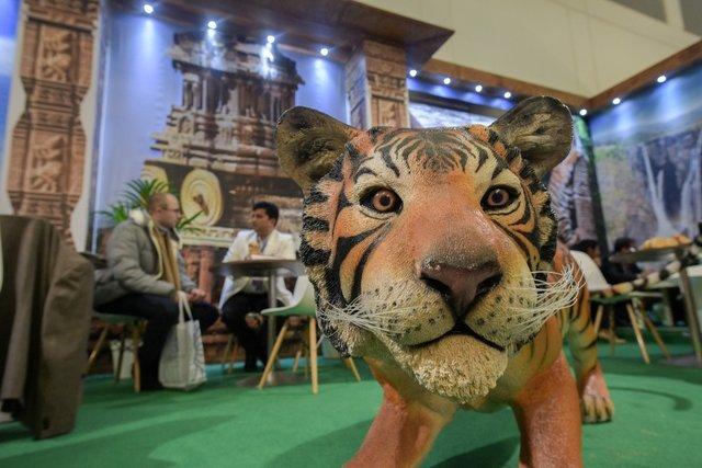 نمایشگاه گردشگری ITB برلین ۲۰۱۸,اخبار اجتماعی,خبرهای اجتماعی,محیط زیست