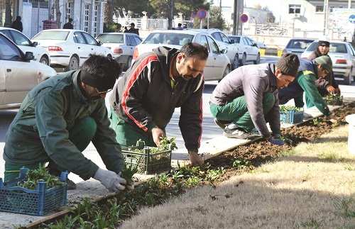 کاشت نهال,اخبار اجتماعی,خبرهای اجتماعی,شهر و روستا