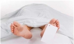 مرگ درویش گنابادی مرگ درویش گنابادی,اخبار سیاسی,خبرهای سیاسی,اخبار سیاسی ایران
