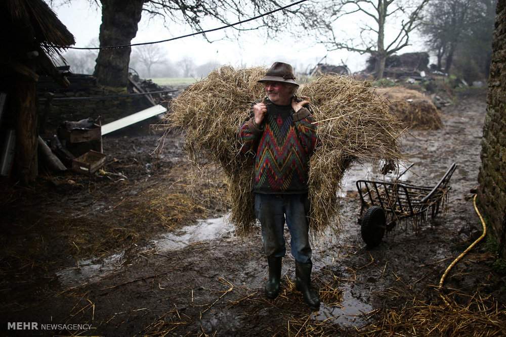 تصاویر کشاورز فرانسوی,عکسهای کشاورز فرانسوی,عکس های زندگی روستایی در فرانسه