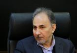 محمدعلی نجفی,اخبار اجتماعی,خبرهای اجتماعی,شهر و روستا