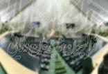 فراکسیون ولایی,اخبار سیاسی,خبرهای سیاسی,مجلس