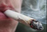 نیکوتین سیگار,اخبار پزشکی,خبرهای پزشکی,بهداشت