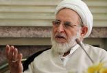 محمد یزدی,اخبار سیاسی,خبرهای سیاسی,اخبار سیاسی ایران