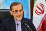 علی اکبر ولایتی,اخبار دانشگاه,خبرهای دانشگاه,دانشگاه