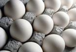 واردات تخم‌مرغ,اخبار اقتصادی,خبرهای اقتصادی,تجارت و بازرگانی