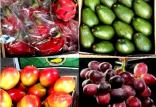 میوه های وارداتی,اخبار اقتصادی,خبرهای اقتصادی,کشت و دام و صنعت