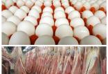 گوشت و تخم مرغ,اخبار اقتصادی,خبرهای اقتصادی,کشت و دام و صنعت