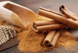 دارچین,اخبار پزشکی,خبرهای پزشکی,تازه های پزشکی