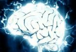 مغز انسان,اخبار دیجیتال,خبرهای دیجیتال,اخبار فناوری اطلاعات