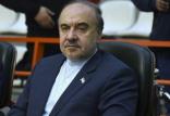مسعود سلطانی‌فر,اخبار فوتبال,خبرهای فوتبال,لیگ قهرمانان و جام ملت ها
