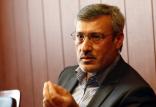حمید بعیدی نژاد,اخبار سیاسی,خبرهای سیاسی,اخبار سیاسی ایران