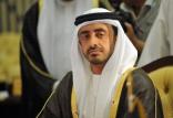 وزیر خارجه امارات,اخبار سیاسی,خبرهای سیاسی,خاورمیانه