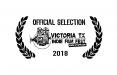 جشنواره جهانی فیلم Victoria Tx آمریکا,اخبار هنرمندان,خبرهای هنرمندان,جشنواره