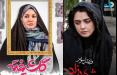 سریال شهرزاد و گلشیفته,اخبار فیلم و سینما,خبرهای فیلم و سینما,سینمای ایران