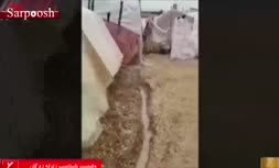 ویدئو/ فیلم انتقاد رضا رشید پور به کمک رسانی مسئولان به زلزله زدگان کرمانشاه