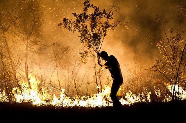 آتش‌سوزی در جنگل‌,اخبار حوادث,خبرهای حوادث,حوادث امروز