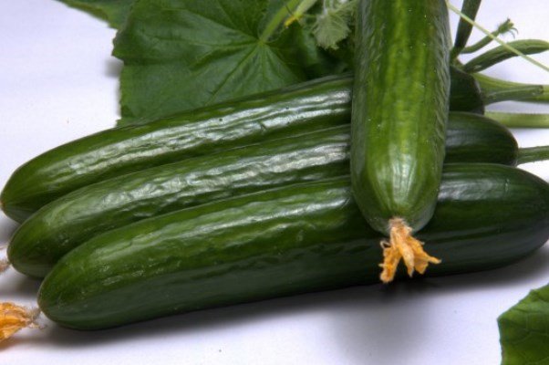 خیار خیار,اخبار پزشکی,خبرهای پزشکی,مشاوره پزشکی