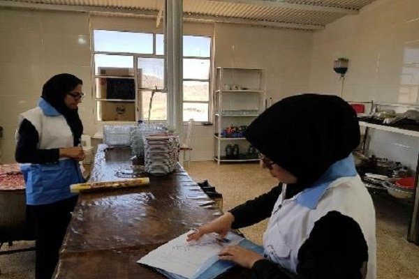 بازرس بهداشت,اخبار پزشکی,خبرهای پزشکی,بهداشت