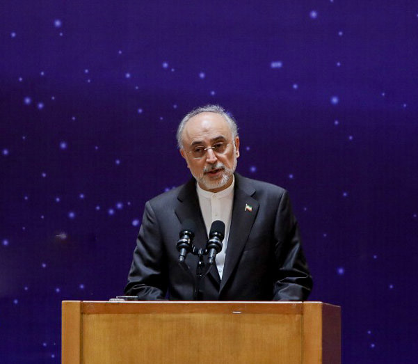 علی اکبر صالحی,اخبار سیاسی,خبرهای سیاسی,سیاست خارجی