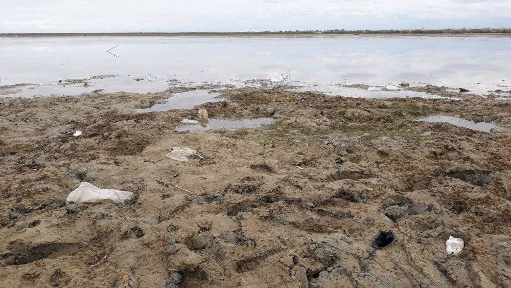 کم آبی درگلستان,اخبار اجتماعی,خبرهای اجتماعی,محیط زیست