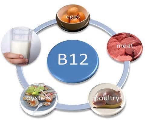 ویتامین B۱۲,اخبار پزشکی,خبرهای پزشکی,مشاوره پزشکی