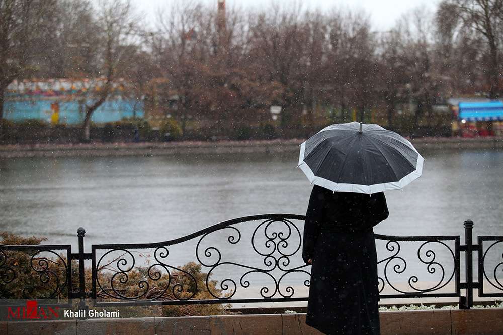 بارش باران,اخبار اجتماعی,خبرهای اجتماعی,محیط زیست