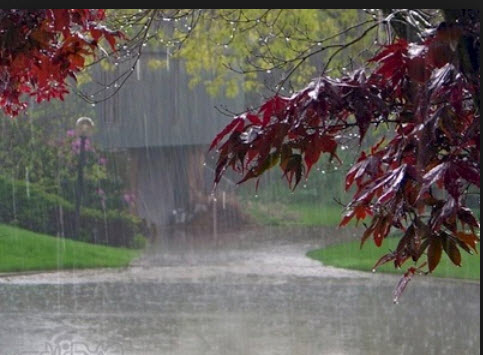 وضعیت بارندگی کشور,اخبار اجتماعی,خبرهای اجتماعی,محیط زیست