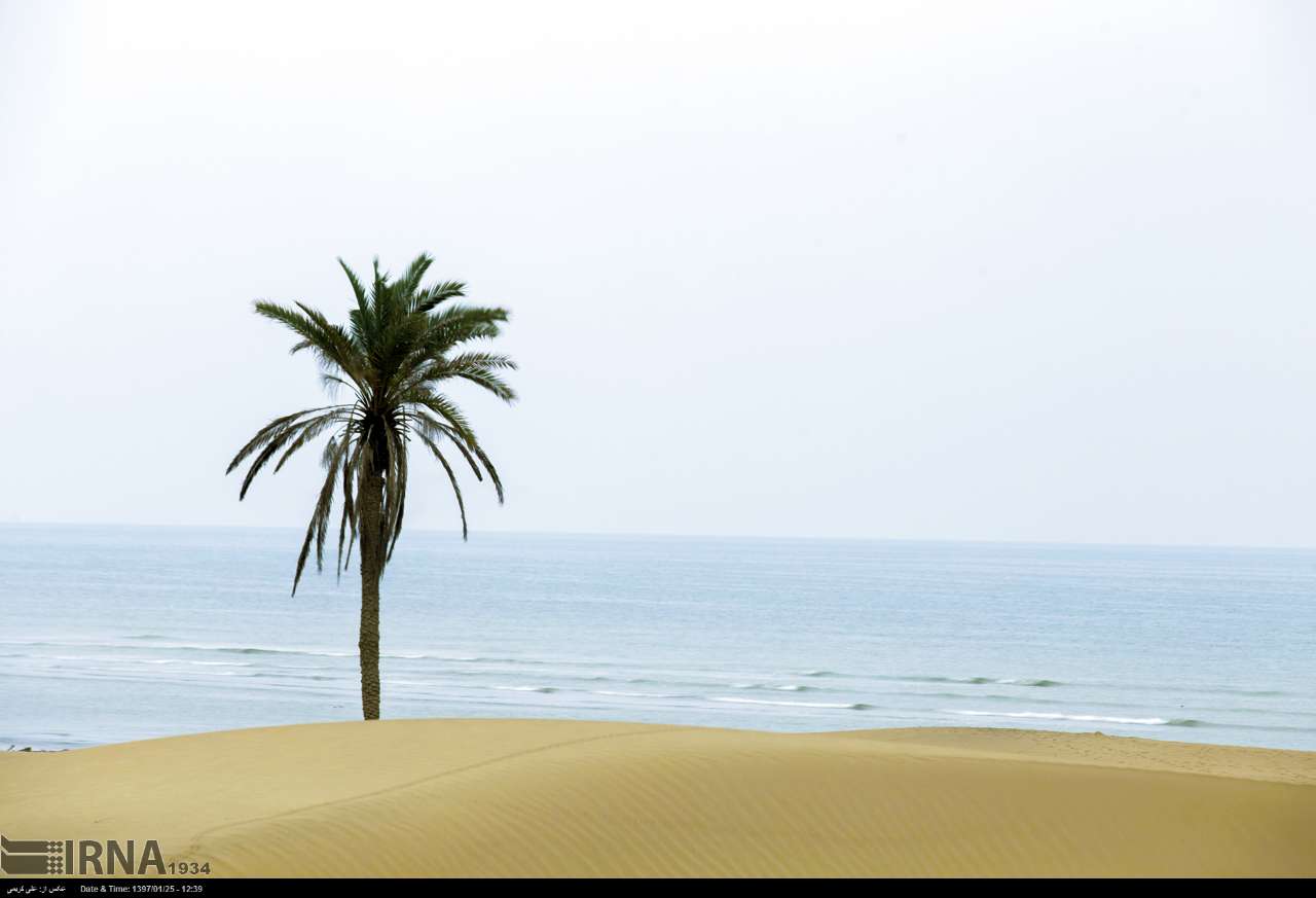 عکس ساحل روستای دَرَک زرآباد,تصاویرساحل روستای دَرَک زرآباد,عکس روستای دَرَک زرآباد