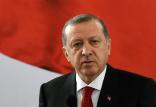 رجب طیب اردوغان,اخبار سیاسی,خبرهای سیاسی,خاورمیانه