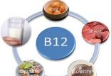 ویتامین B۱۲,اخبار پزشکی,خبرهای پزشکی,مشاوره پزشکی
