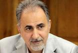 محمد علی نجفی,اخبار اجتماعی,خبرهای اجتماعی,شهر و روستا