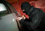 سرقت خودرو,اخبار حوادث,خبرهای حوادث,جرم و جنایت