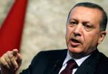 اردوغان,اخبار سیاسی,خبرهای سیاسی,خاورمیانه