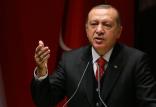 اردوغان,اخبار سیاسی,خبرهای سیاسی,خاورمیانه