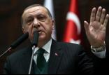 اردوغان,اخبار سیاسی,خبرهای سیاسی,خاورمیانه