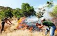 آتش‌ سوزی جنگل ها,,اخبار اجتماعی,خبرهای اجتماعی,محیط زیست