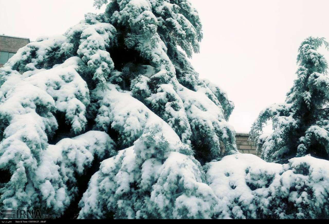 تصاویر بارش برف در البرز,عکسهای بارش برف در البرز,عکس های برف البرز در 27 فروردین 97