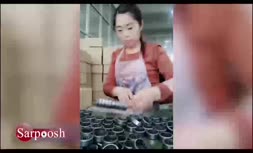 مهارت حیرت انگیز دختر چینی در بسته بندی (+ فیلم)