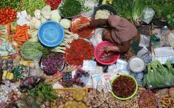 عکس دیدنی روز دنیا,تصاویر جذاب روز دنیا,عکس جذاب روز دنیا