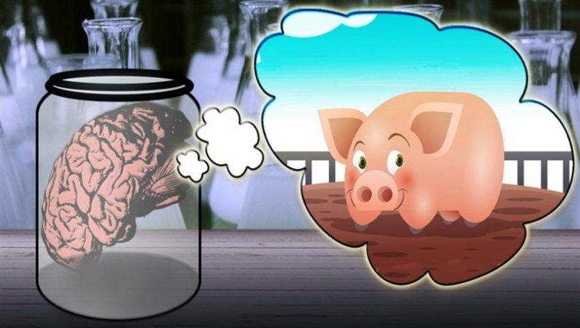 مغز,اخبار علمی,خبرهای علمی,اختراعات و پژوهش