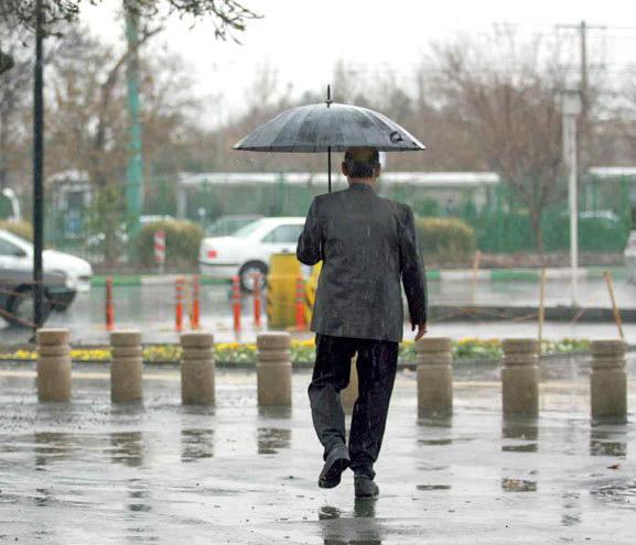 بارش باران بارش باران,اخبار اجتماعی,خبرهای اجتماعی,محیط زیست