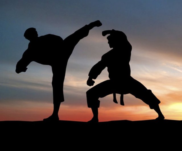 کونگ فو,اخبار ورزشی,خبرهای ورزشی,ورزش