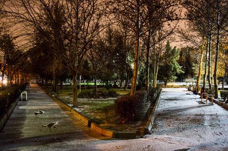 بارش باران بارش باران,اخبار اجتماعی,خبرهای اجتماعی,محیط زیست