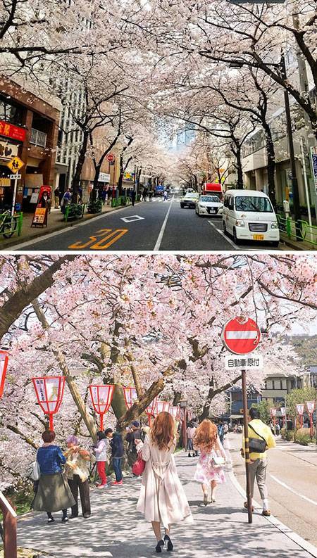 زندگی در ژاپن زندگی در ژاپن,اخبار جالب,خبرهای جالب,خواندنی ها و دیدنی ها