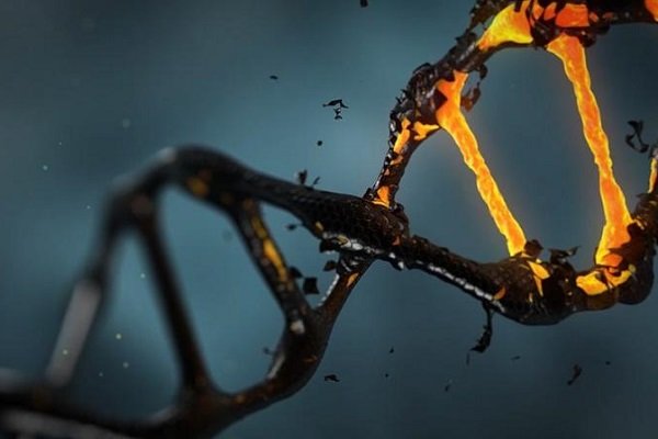DNA,اخبار علمی,خبرهای علمی,پژوهش