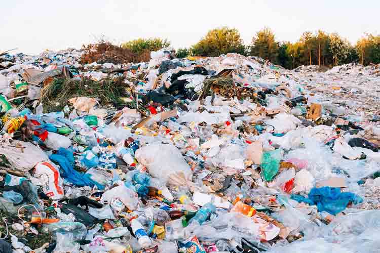 زباله های پلاستیکی,اخبار علمی,خبرهای علمی,طبیعت و محیط زیست