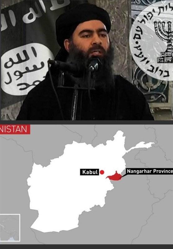 ابوبکر البغدادی,اخبار افغانستان,خبرهای افغانستان,تازه ترین اخبار افغانستان
