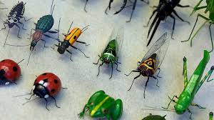 حشرات,اخبار علمی,خبرهای علمی,طبیعت و محیط زیست